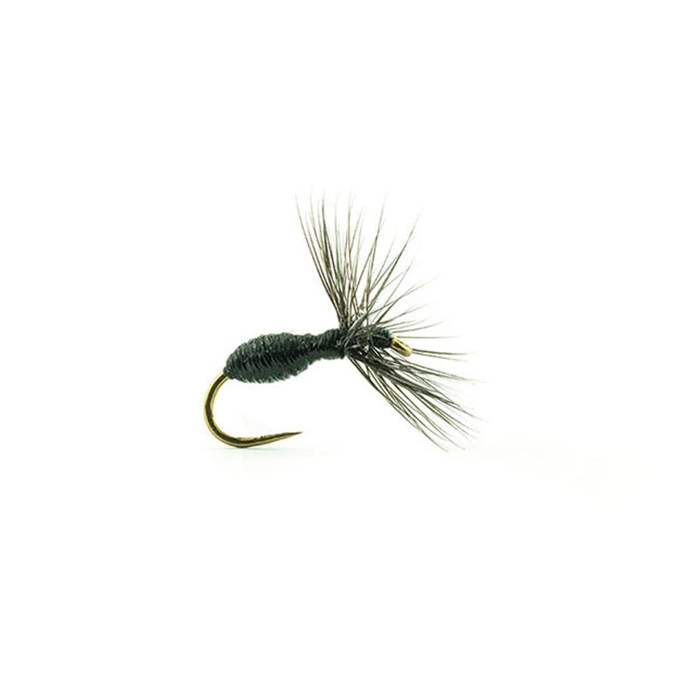 DEVAUX Fliege, Landameise, 527