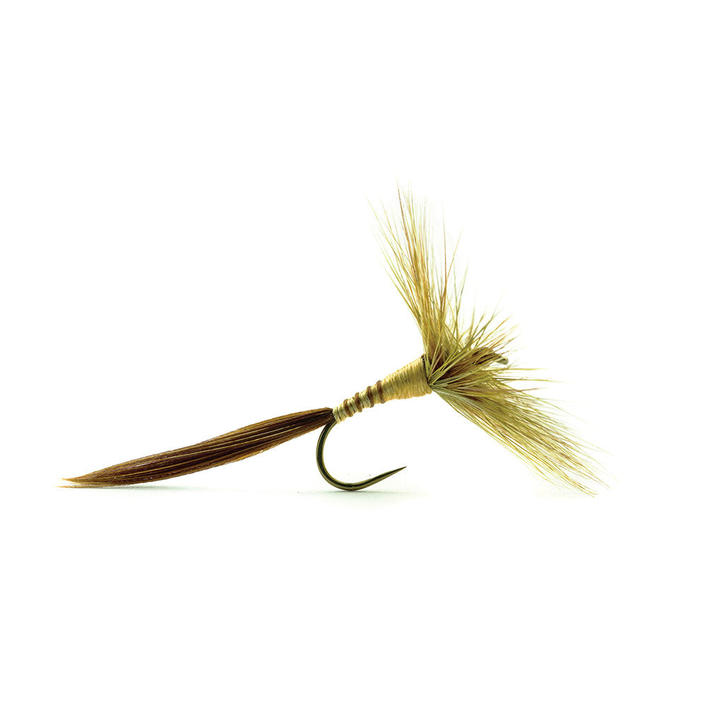 Mouche DEVAUX Séche 606