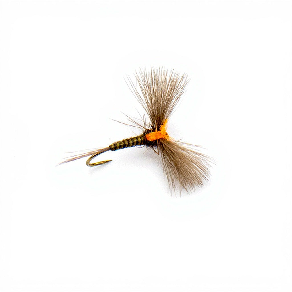 DEVAUX Fly Emerging JBE 05 QJ