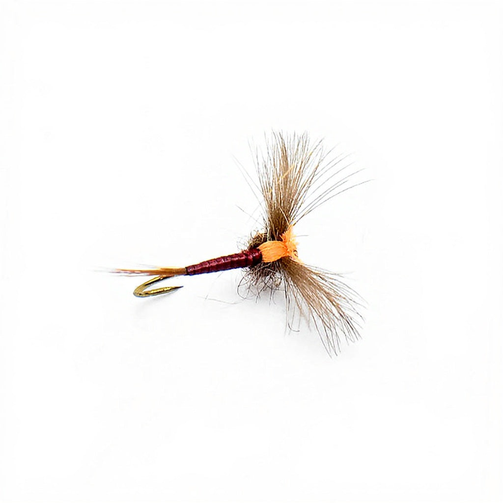 Mouche DEVAUX Emergente JBE 05 QR