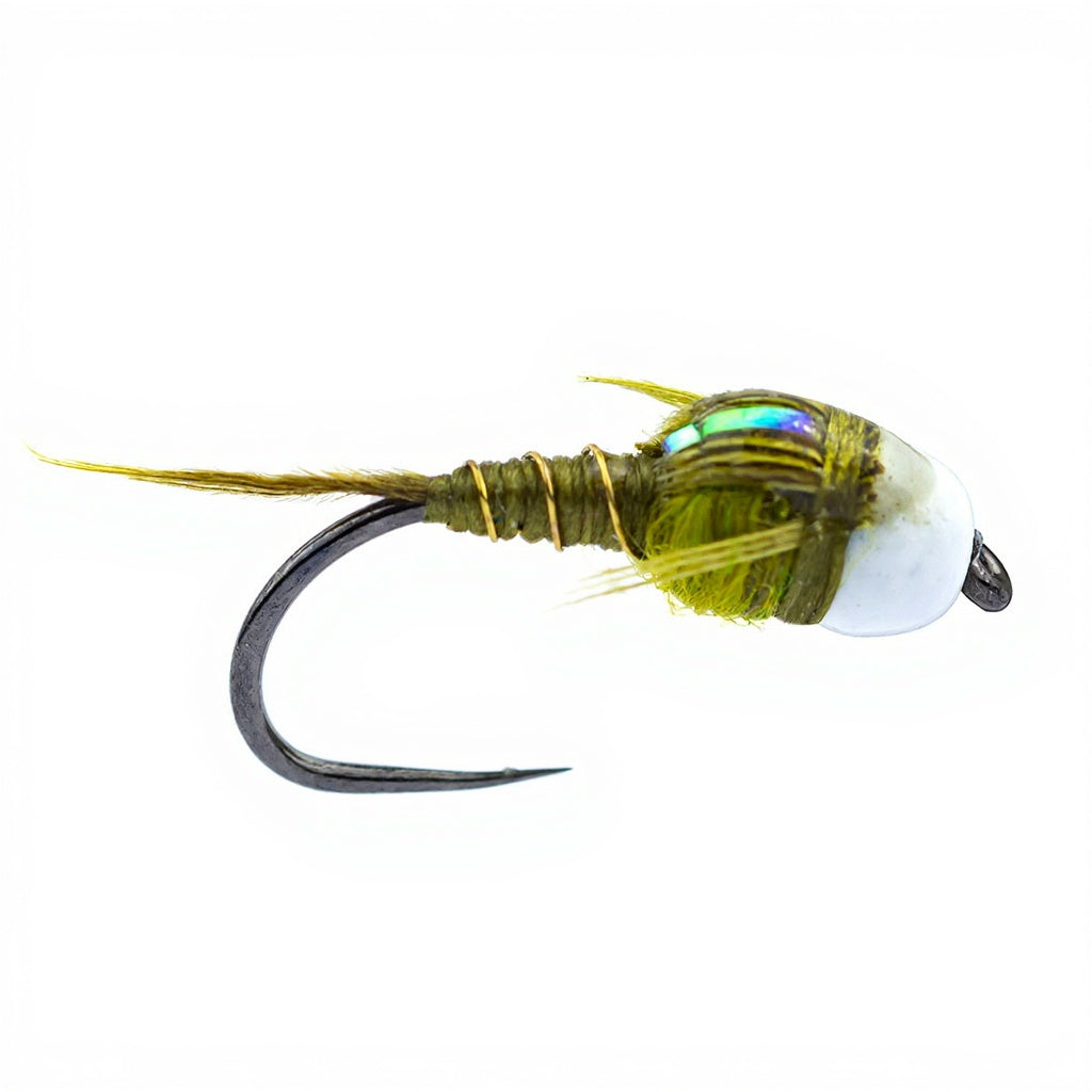 DEVAUX Fly Tungsten bead nymph JBNT 55 B