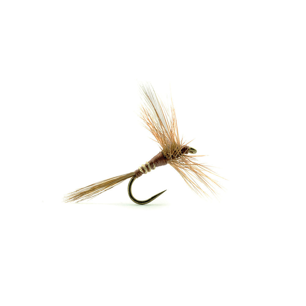 Mouche DEVAUX Séche 800