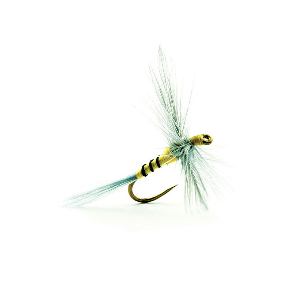 Mouche DEVAUX Séche 804
