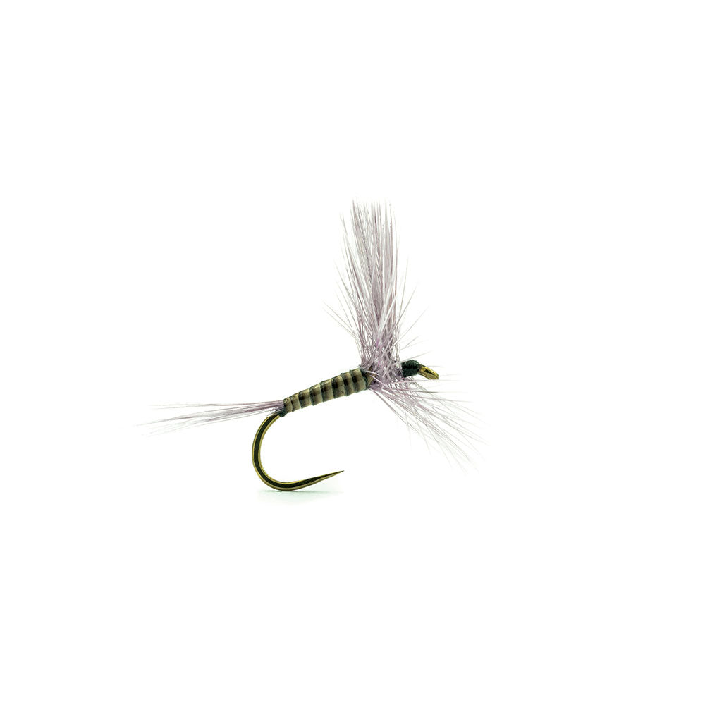 Mouche DEVAUX Séche 918