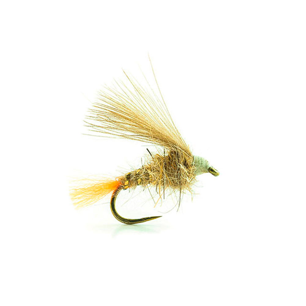 DEVAUX Fly Emerging ATE 1
