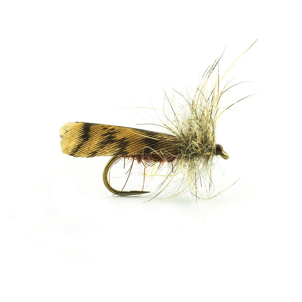 DEVAUX Sedge BCS Fly