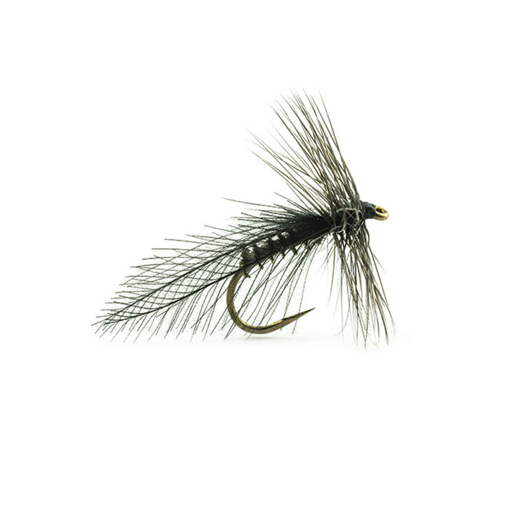 DEVAUX Segge Carlite Fly