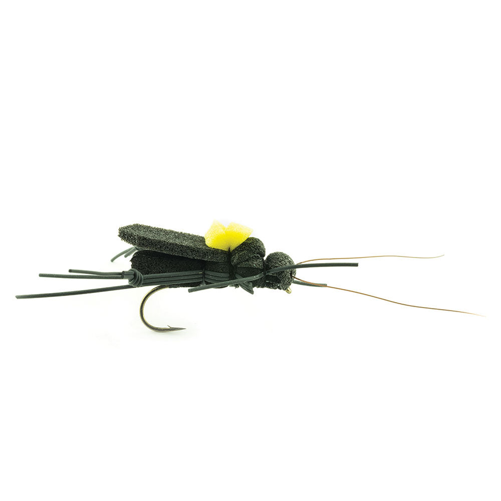 DEVAUX Fly Ground Cricket 01