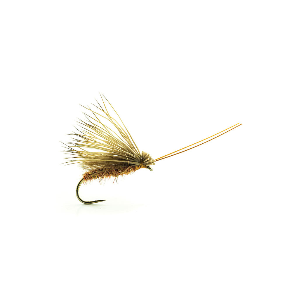 DEVAUX Segge ELK CDC02 Fliege
