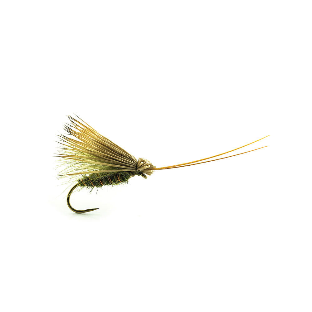 DEVAUX Segge ELK CDC03 Fliege