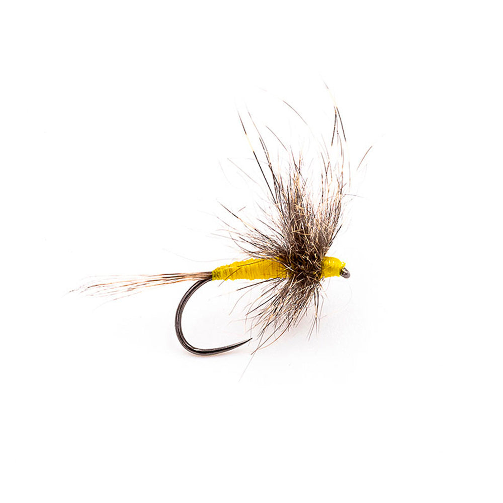 DEVAUX Fly Emerging HL 07