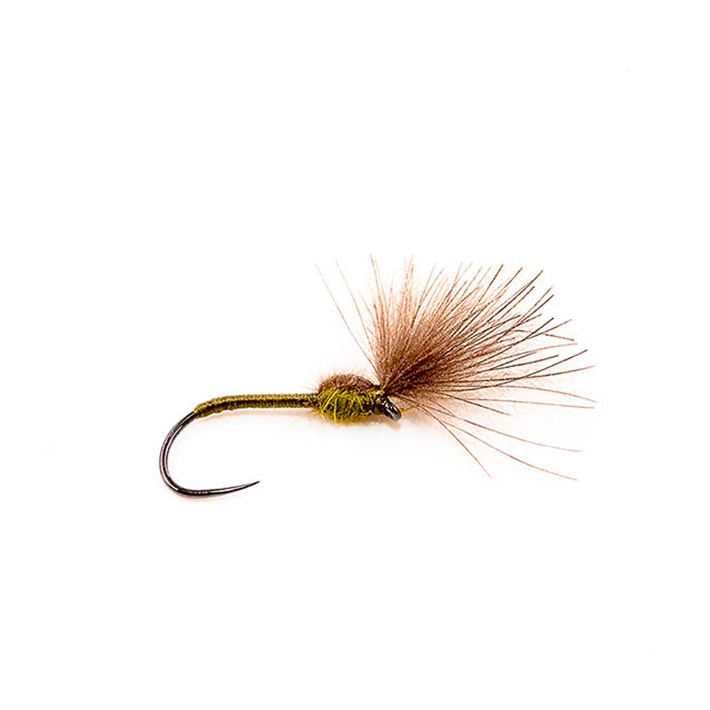 DEVAUX Fly Emerging HL 21