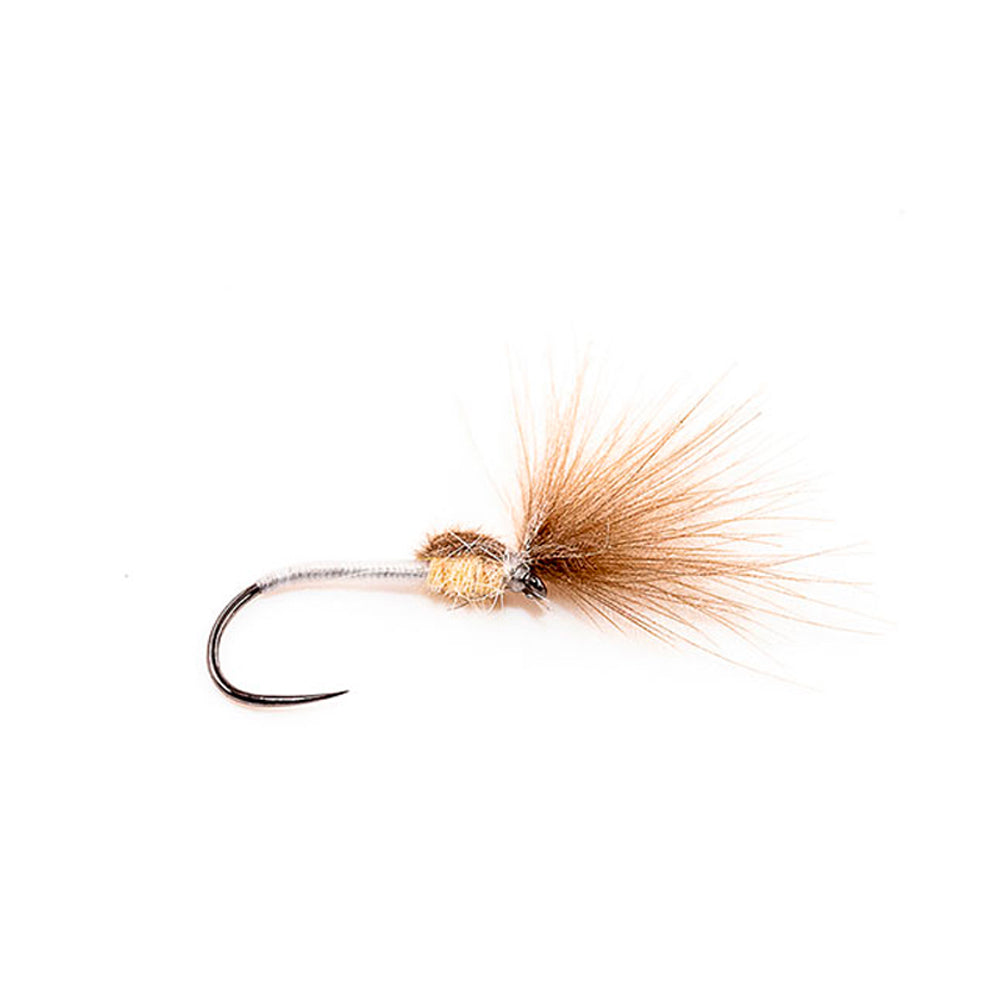 DEVAUX Fly Emerging HL 23