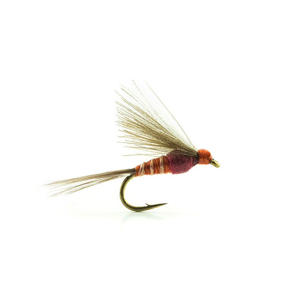 DEVAUX Fly Emerging JBE 02