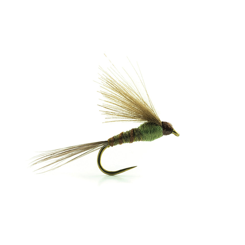 DEVAUX Fly Emerging JBE 03