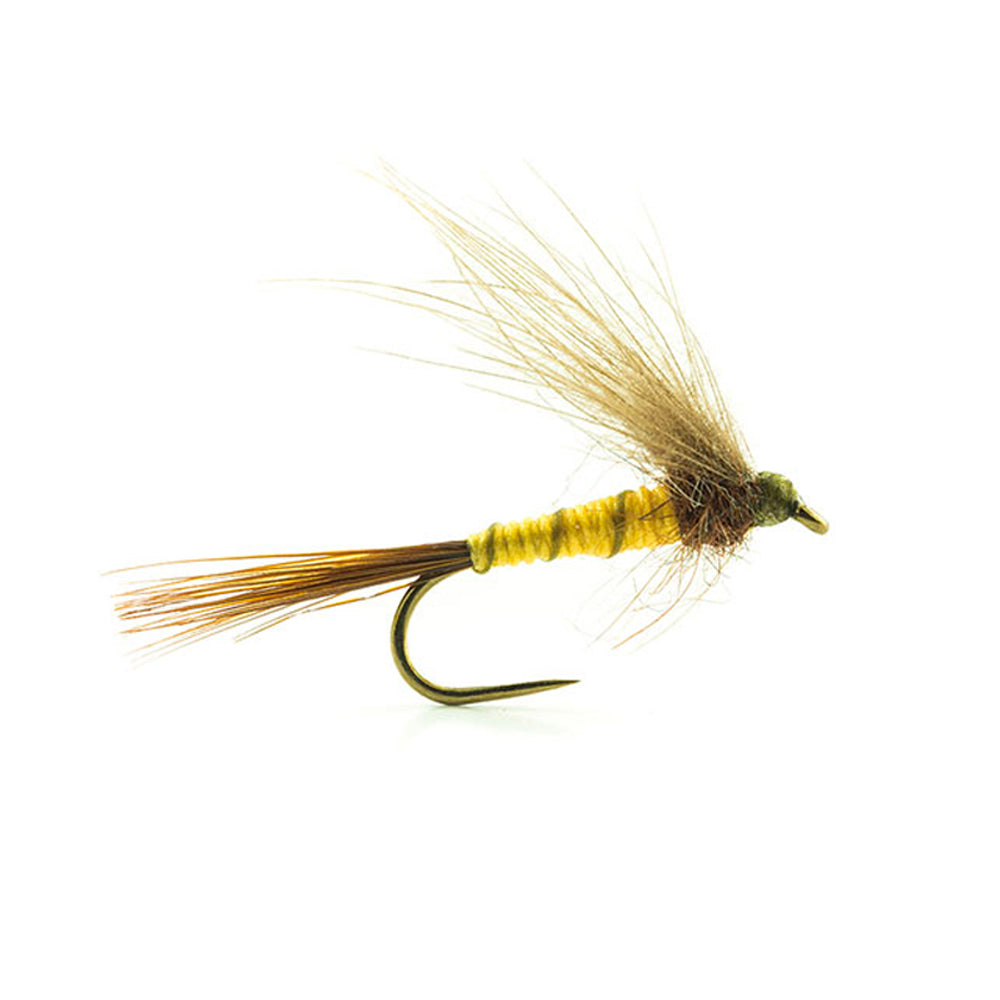DEVAUX Fly Emerging JBE 20