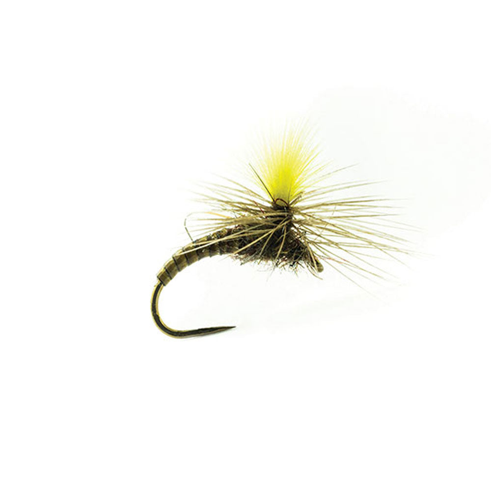 DEVAUX Fly Parachute JBE 41