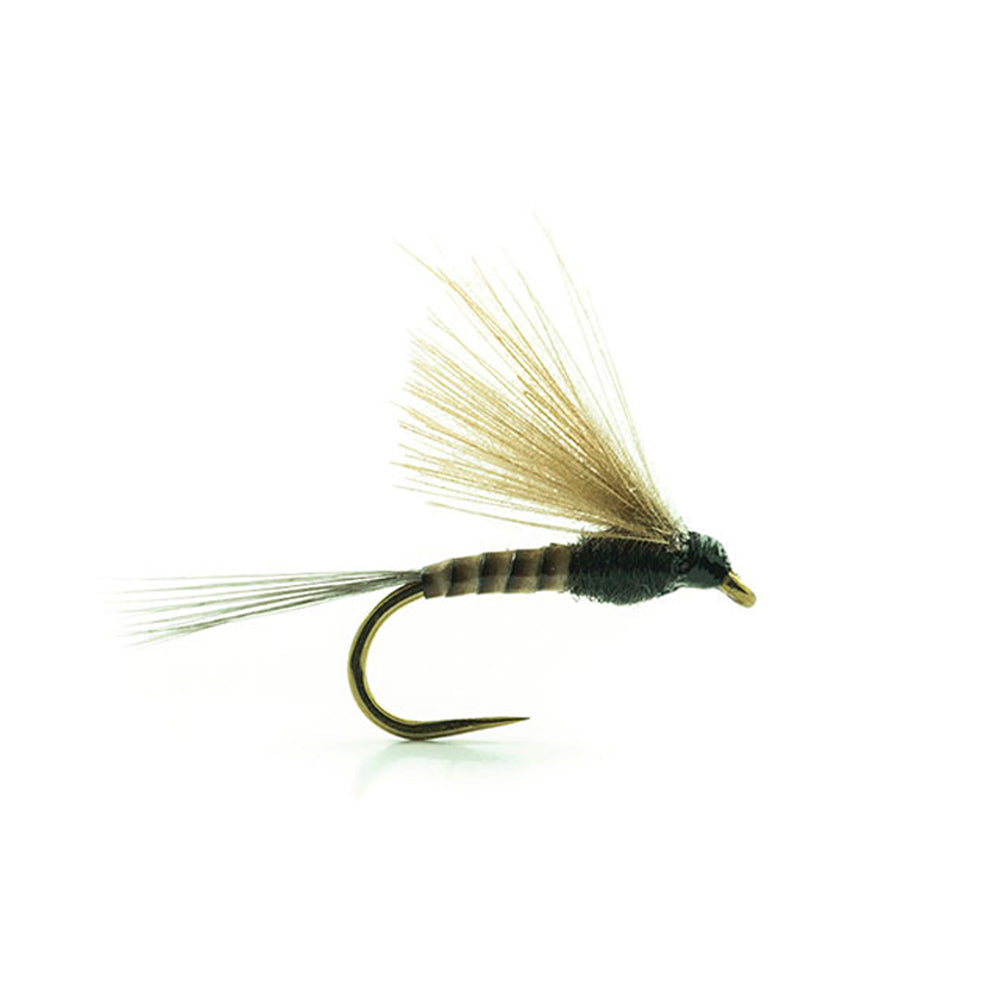 DEVAUX Fly Emerging JBE 46