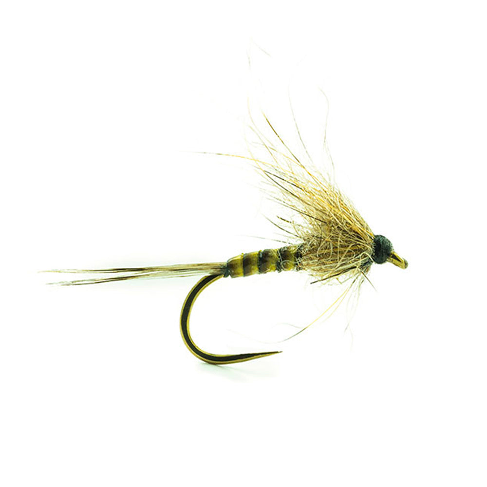DEVAUX Fly Emerging JBE 49