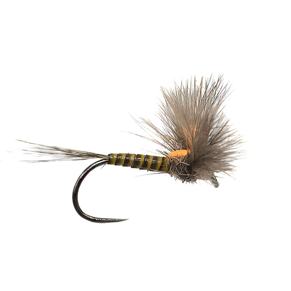 DEVAUX Fly Emerging JBE 05 QJ