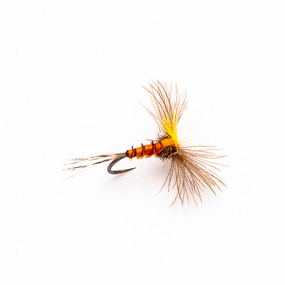 DEVAUX Fly Emerging JBE 06
