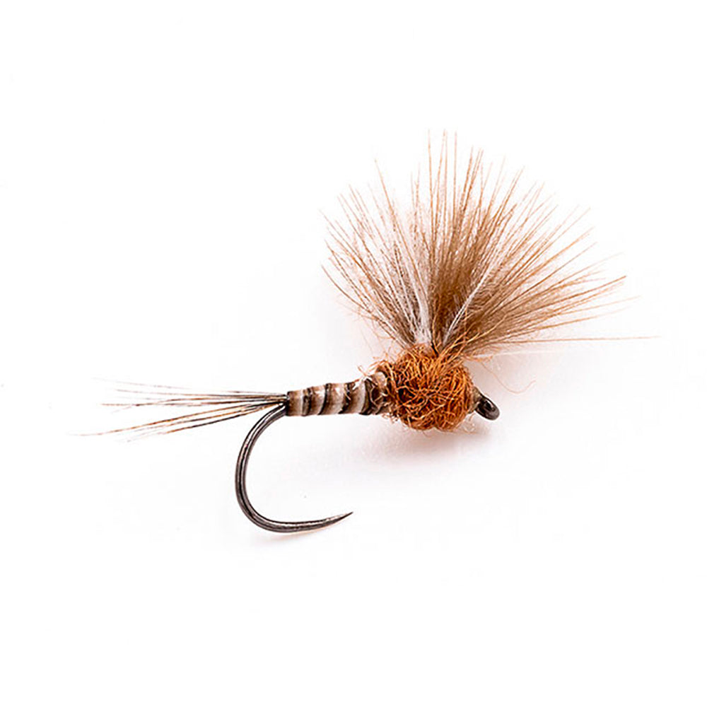 DEVAUX Fly Emerging JBE 09