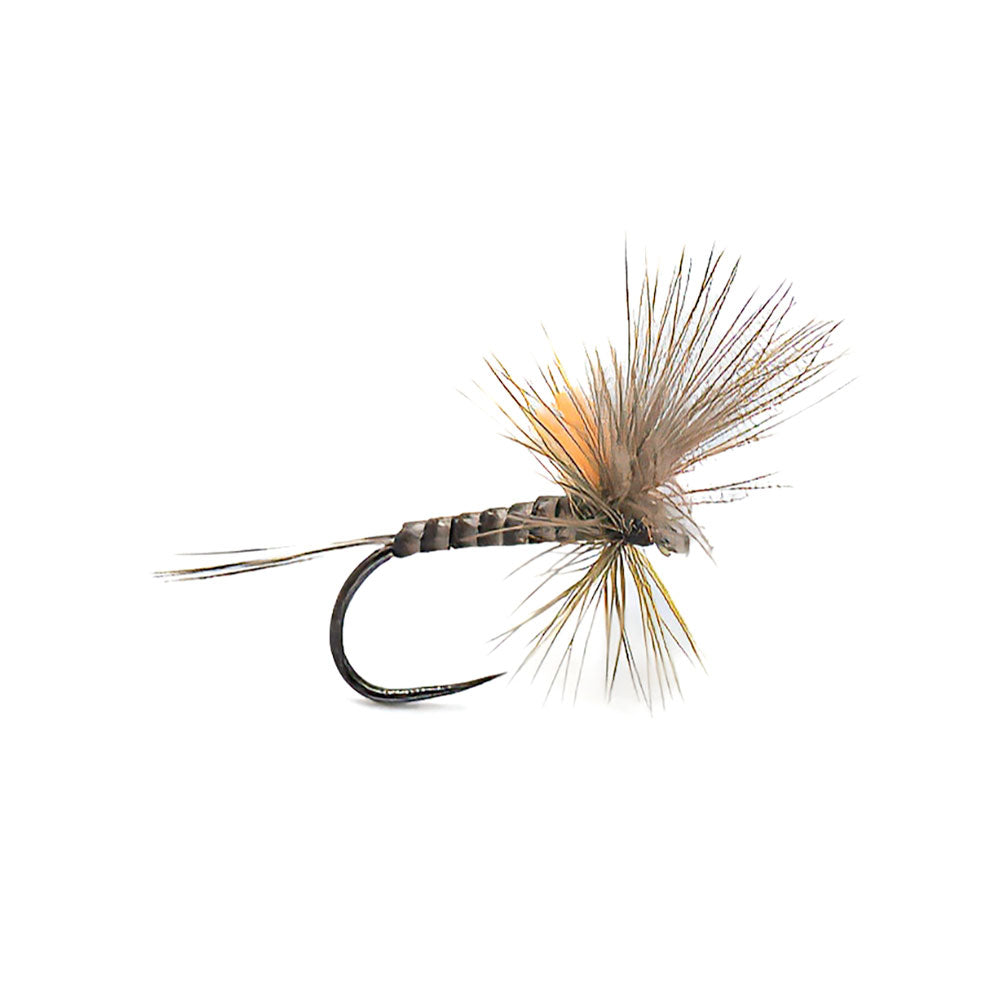 Fly DEVAUX Emergent JBE 80