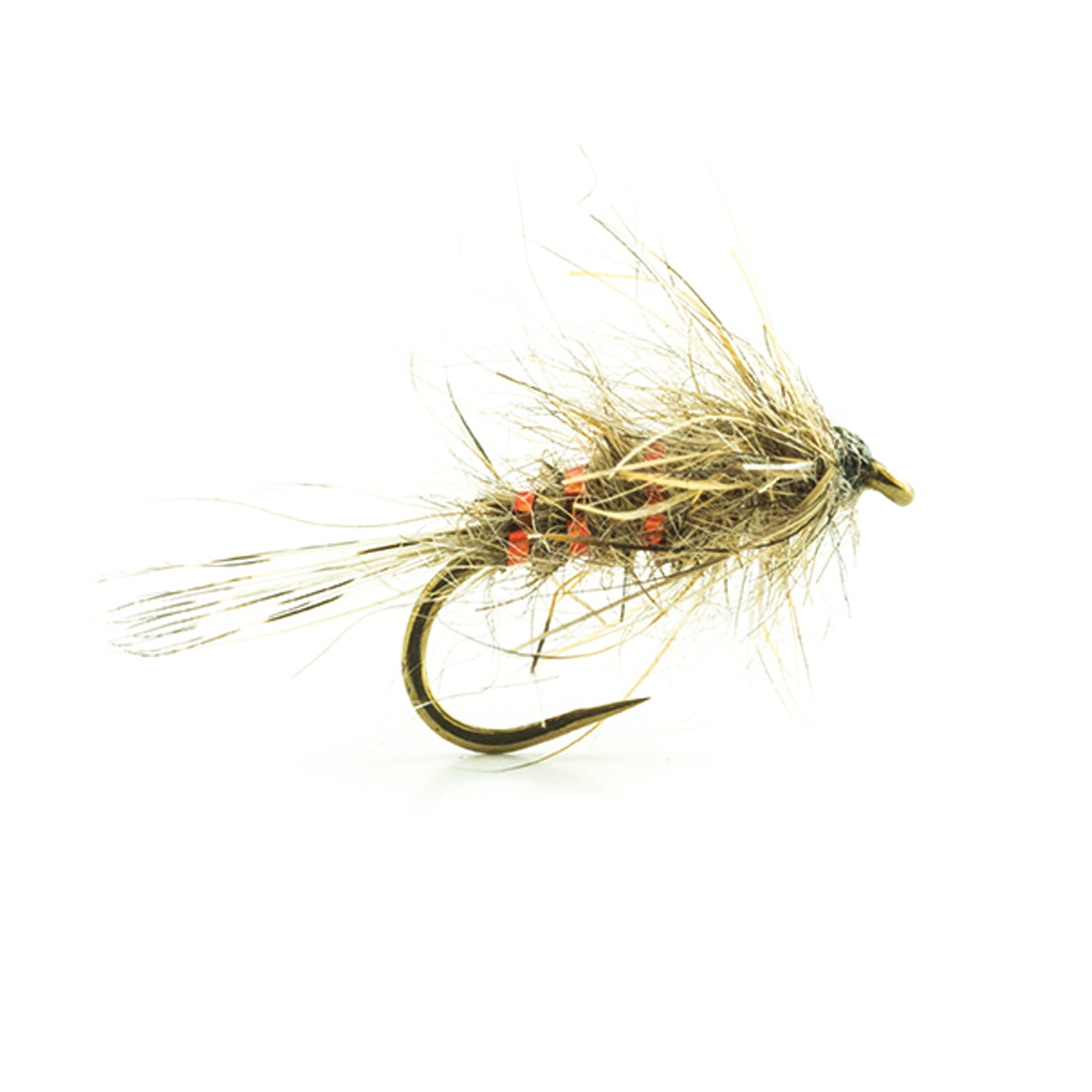 DEVAUX Fly Emerging JBEOL 01