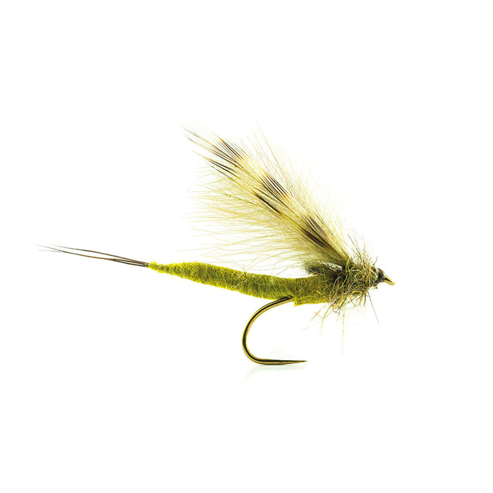 DEVAUX Fly Emerging May JBMAI 04