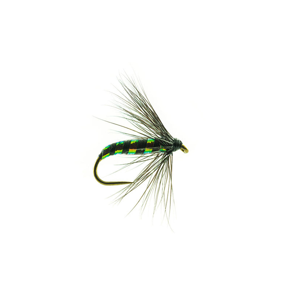 Ertrunkene DEVAUX Fly JBNO 11