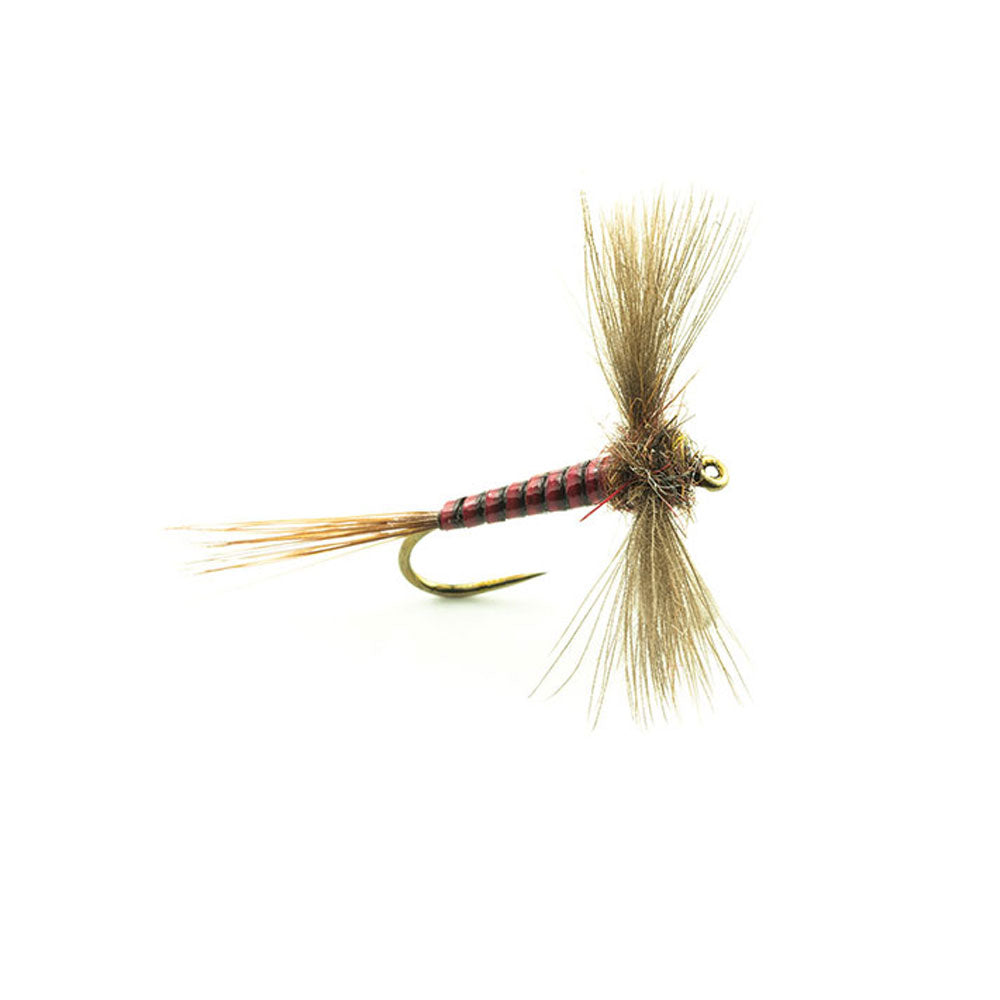 DEVAUX Spent JBS 01 Fly