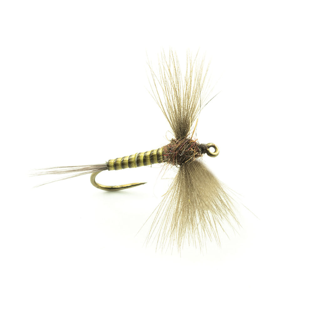DEVAUX Spent JBS 02 Fly
