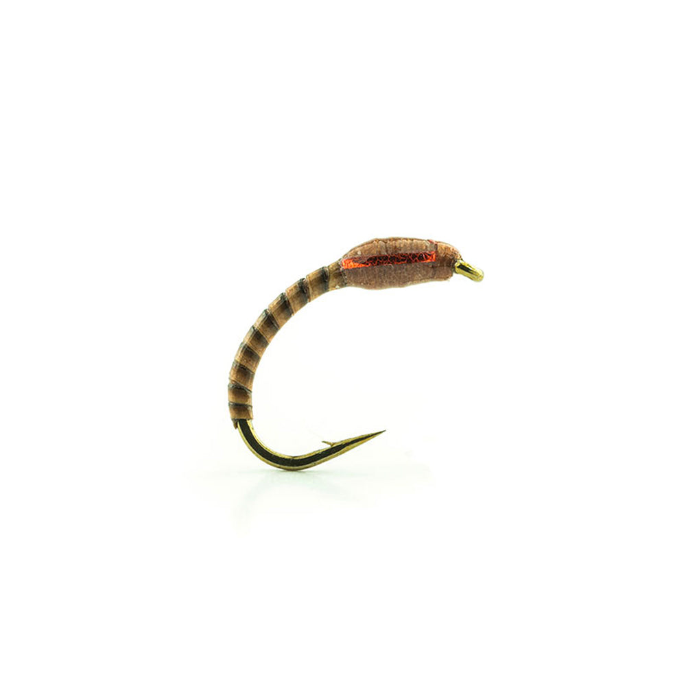 DEVAUX fly, chironomid LCH 31