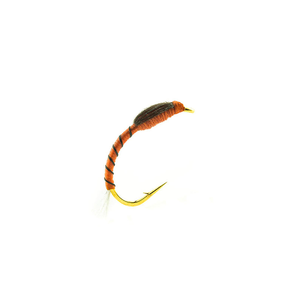 DEVAUX fly, chironomid NCH 08