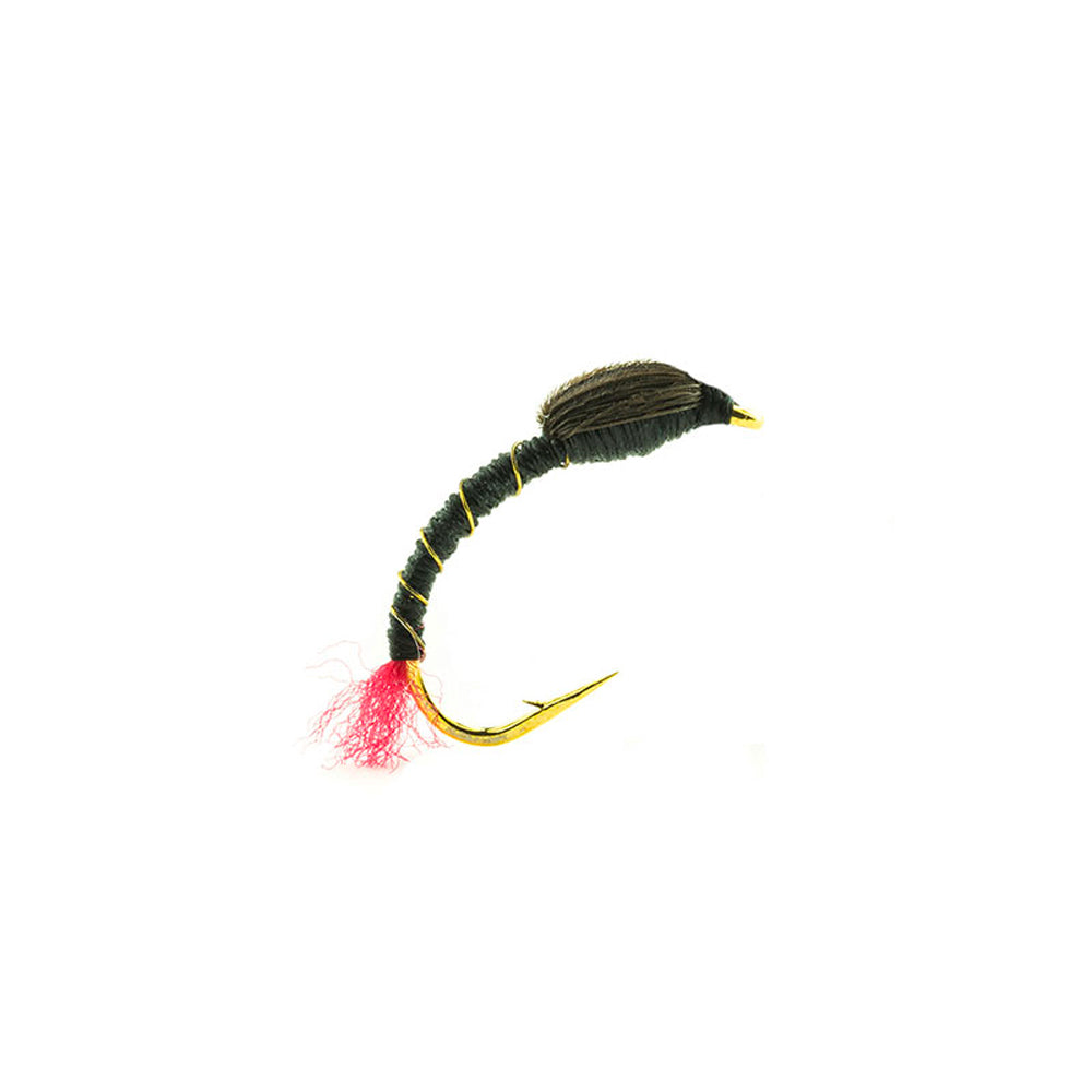 DEVAUX fly, chironomid NCH 10