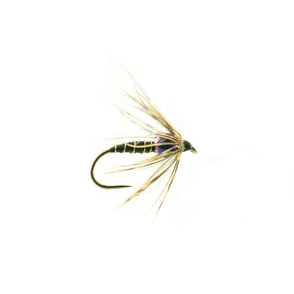 Ertrunkene DEVAUX Fly NTT 07