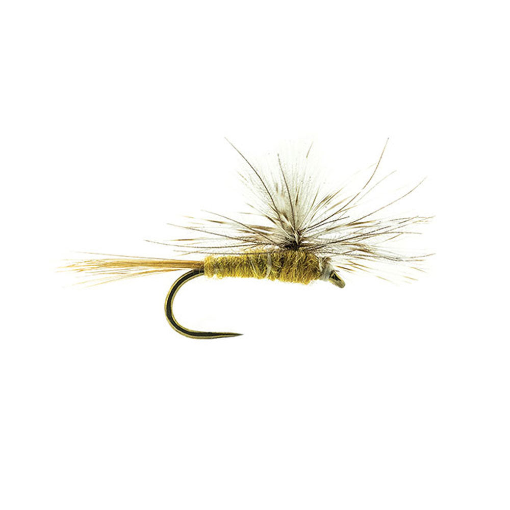 DEVAUX Parachute P 04C Fly