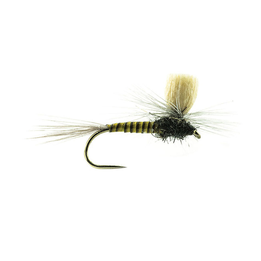 DEVAUX Fly Parachute P 07