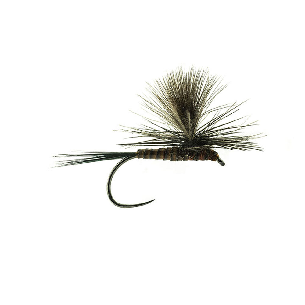 DEVAUX Parachute P 12QC Fly
