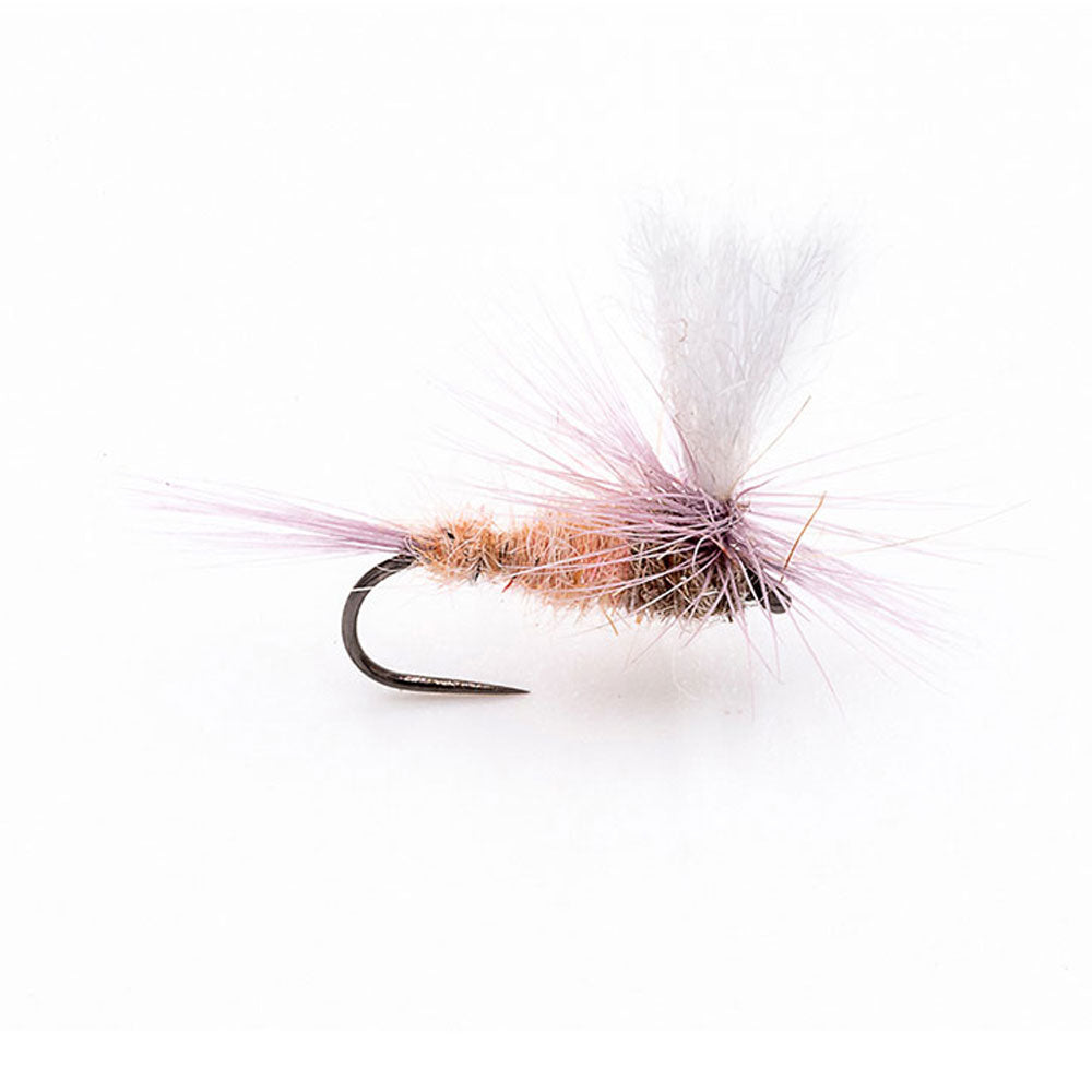 DEVAUX Fly Parachute P 15