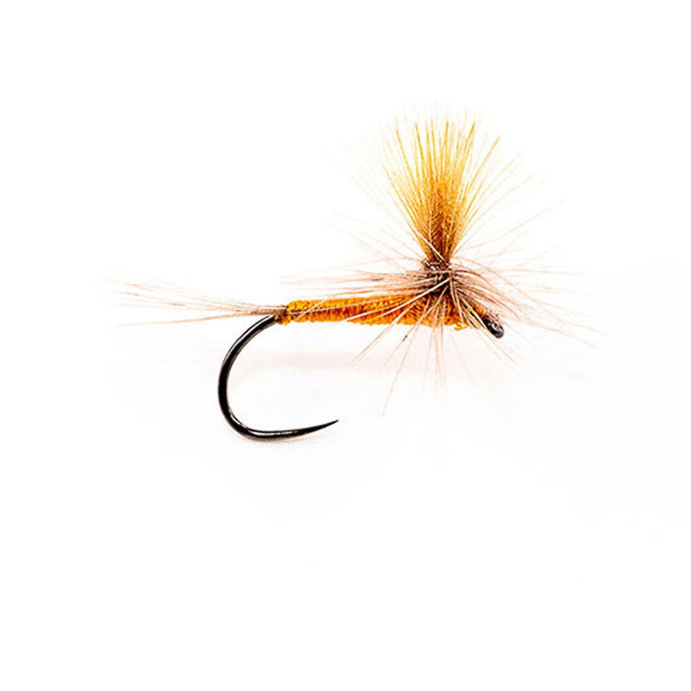DEVAUX Fly Parachute P 17