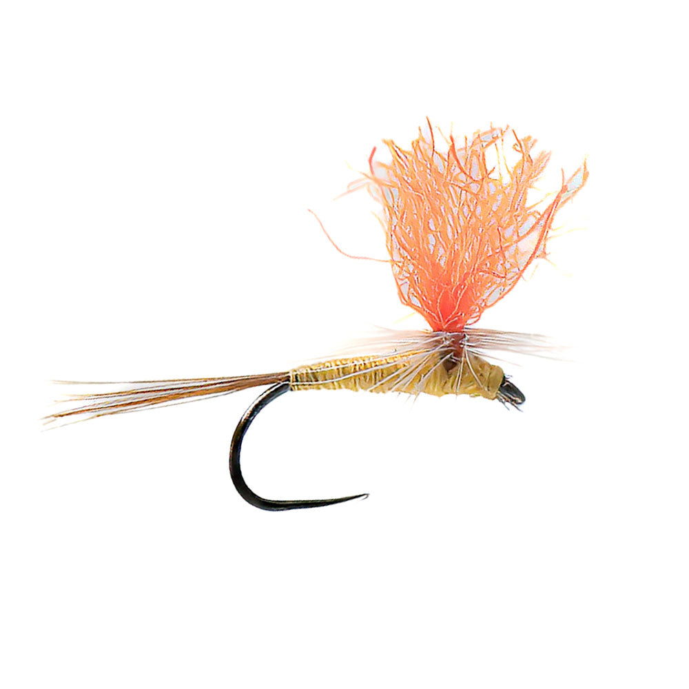 DEVAUX Parachute Fly P 20