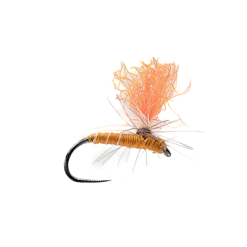 DEVAUX Parachute Fly P 22