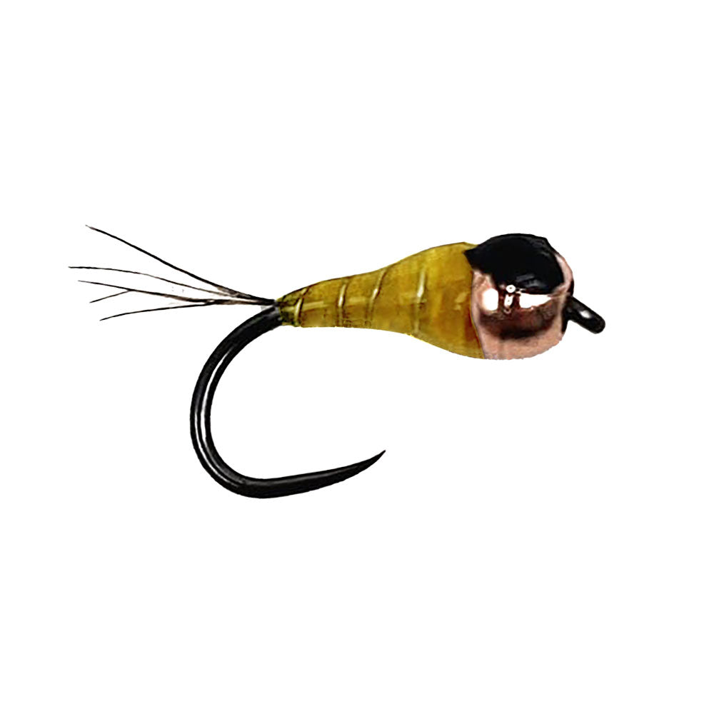 Mouche DEVAUX Nymphe TUNG. PERDI 09
