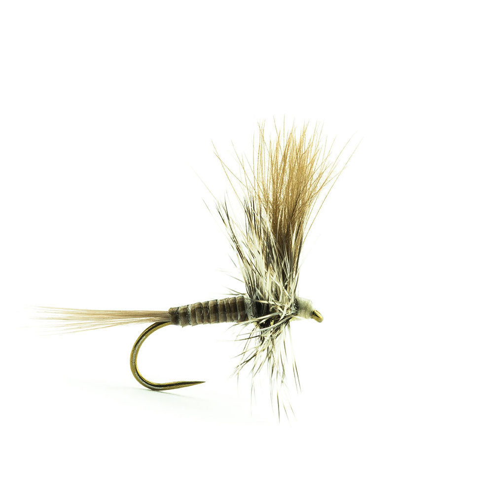 DEVAUX Spent PK01 Fly
