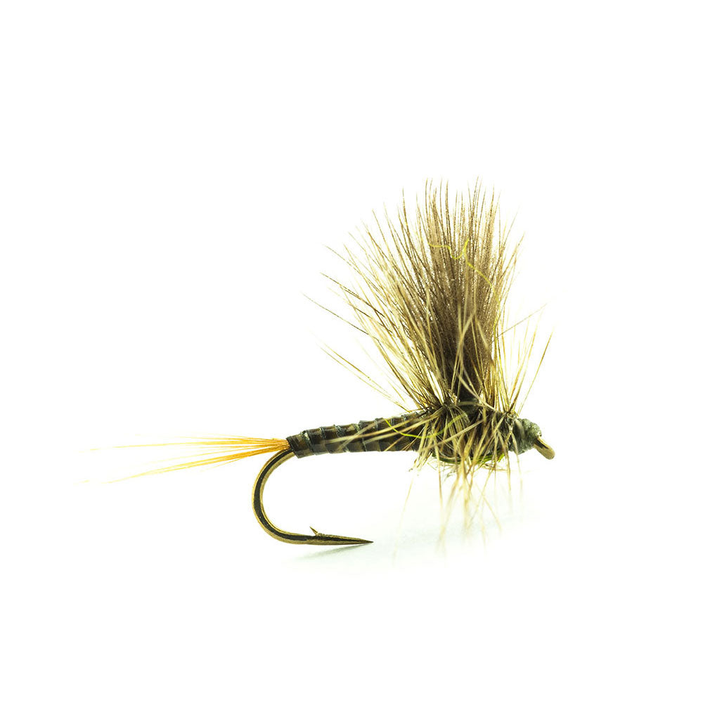 DEVAUX Spent PK04 Fly