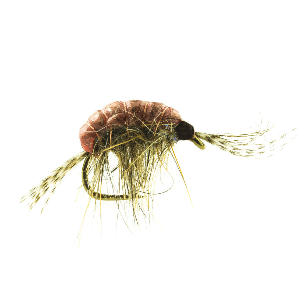 DEVAUX Fly Wolfram Gammarus GAMT 02