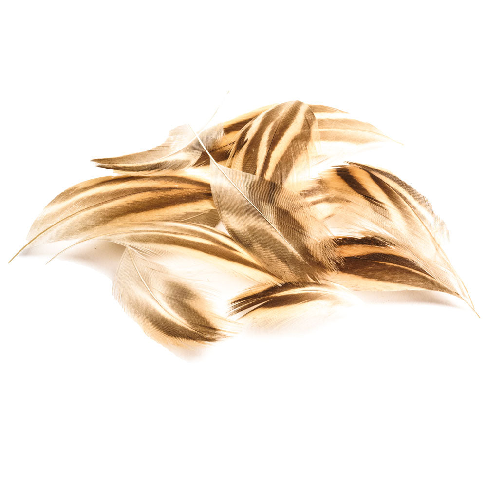 Plumes Flanc De Cane DEVAUX
