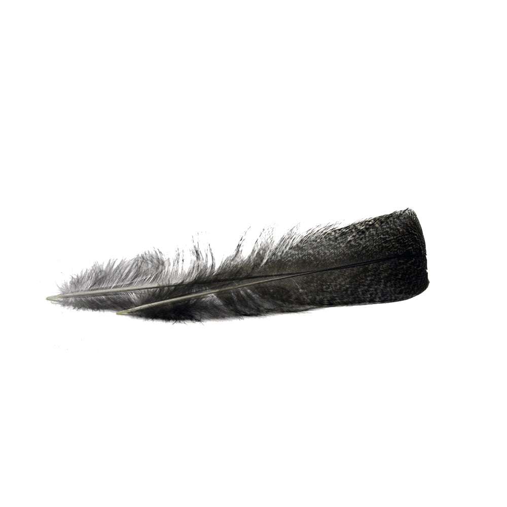 Plumes De Paonne DEVAUX