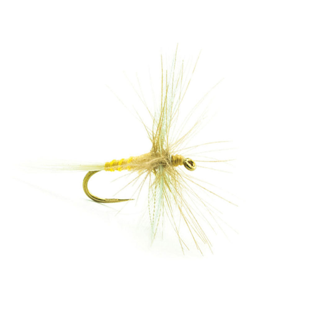 DEVAUX Spent 240C Fly
